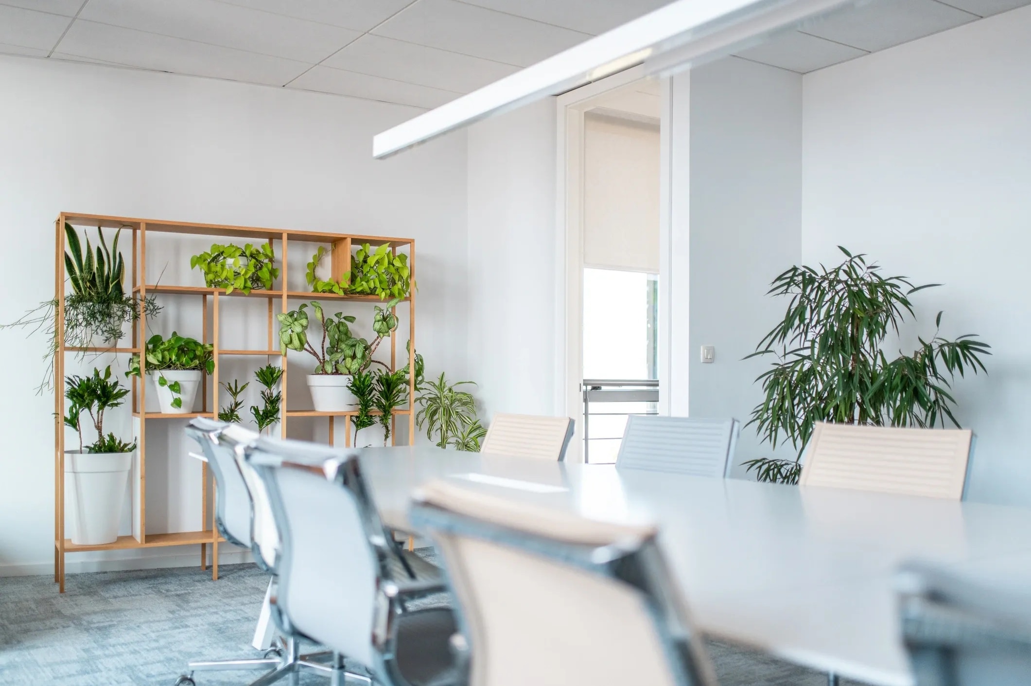 Commercial Cleaning